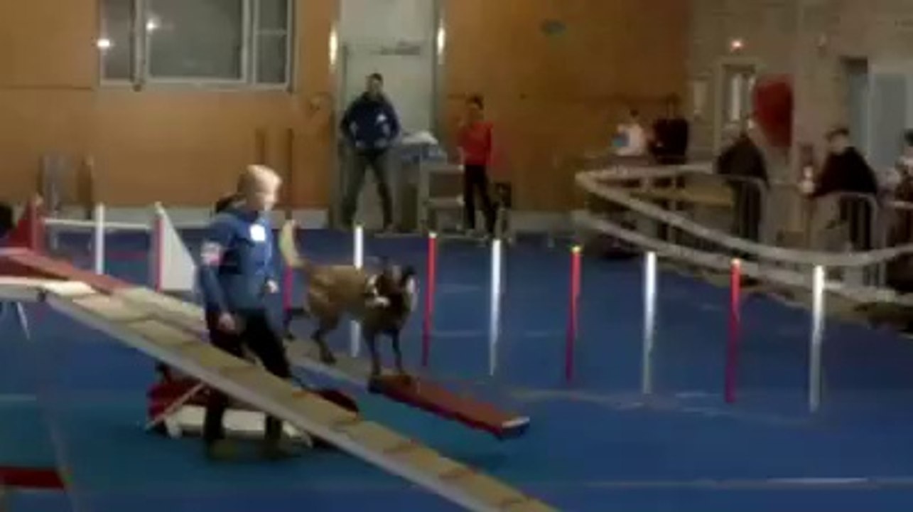 Glen du Dragon Rouge de Jupiter - Concours Agility 2014