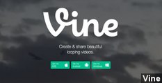 Twitter Bans Porn Videos From Vine