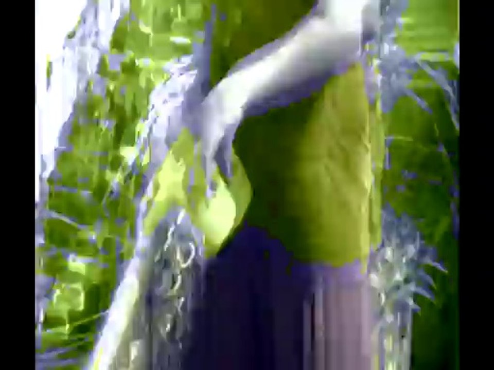 Rang Barse Holi