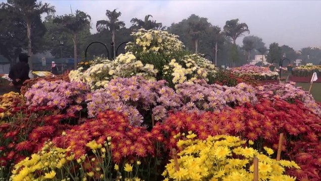 Flowers Exhibition Race Course Park Dec 2, 2012 Lahore Pakistan