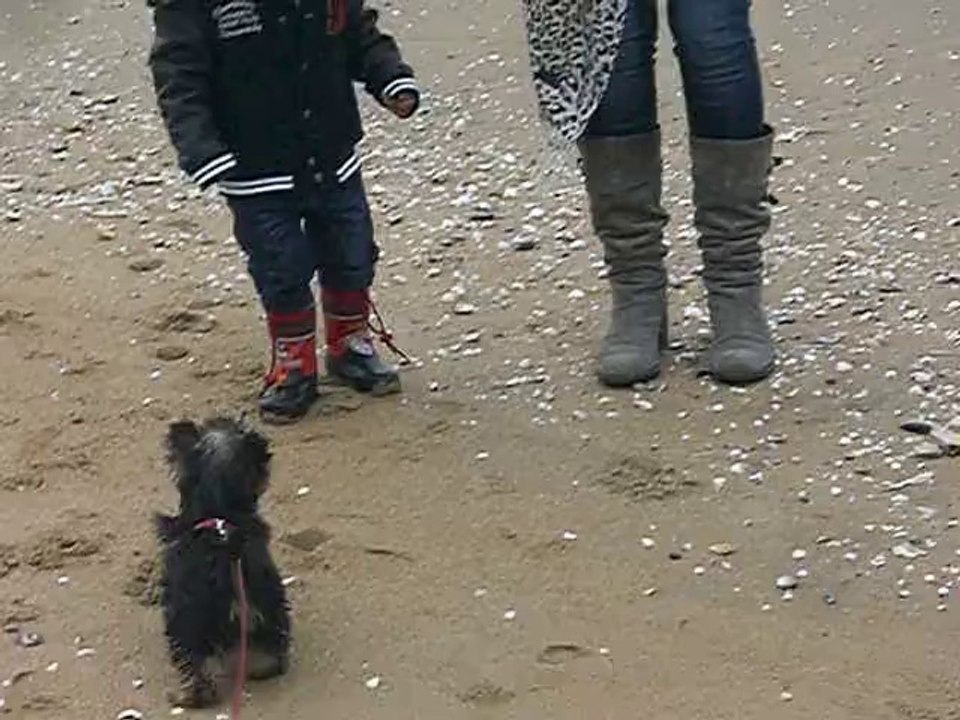 ISATYS aimerait jouer avec un enfant !