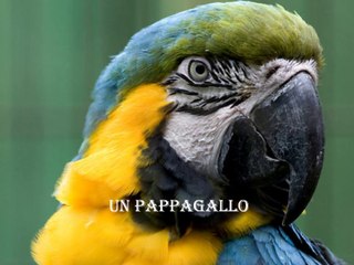 Parigi di notte - di Jean Jacques Fumière