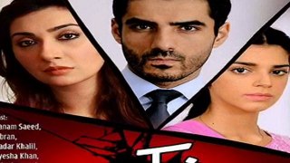 Shak by ARY DIGITAL - Episode 21  Full -  8  March 2014