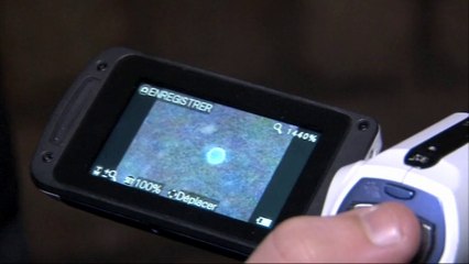 Promenons nous dans les bois ... ( Infracourts 2 )