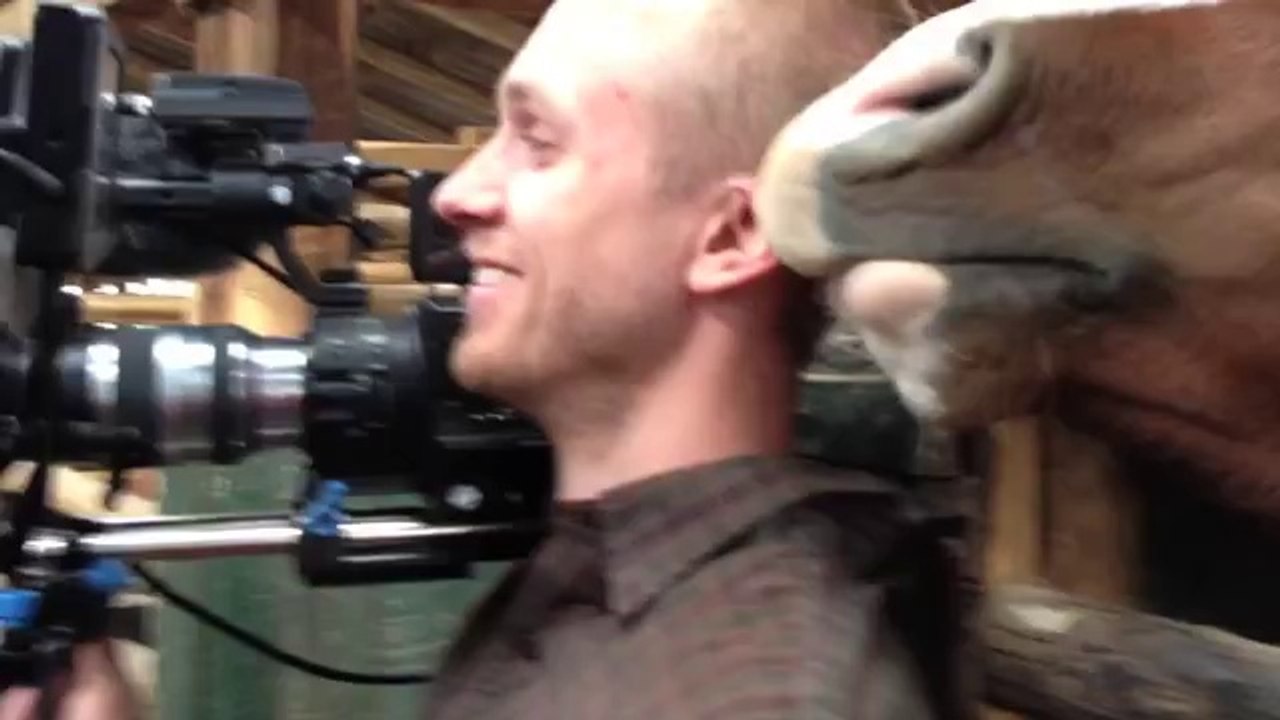 Pferd ärgert den Kameramann