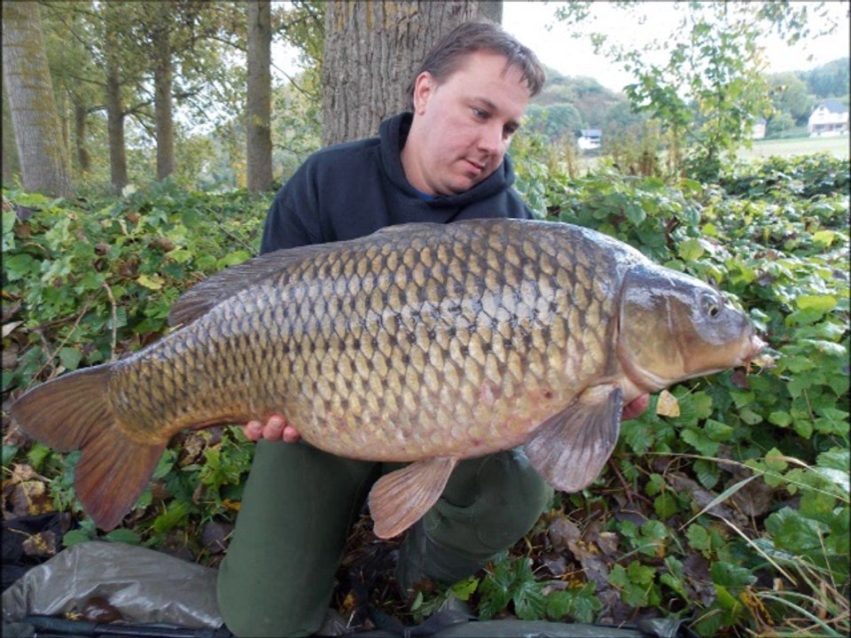 carpe diem II 6eme partie