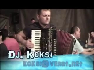 Srecko Krecar -  Dobro vece muzikanti