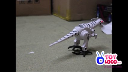 WWW.TOYLOCO.CO.UK Battery Operated Model Dinosaur D103