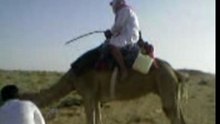 شيخ القبيله