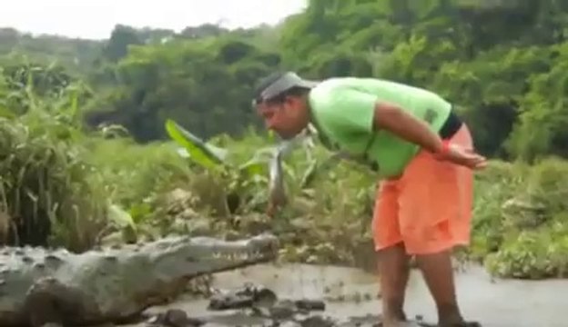 Nourrir un Crocodile comme si c’était un simple chien... Taré!