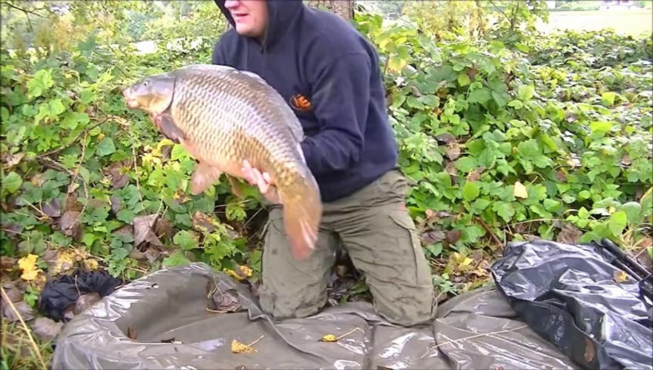 carpe diem II 7eme partie