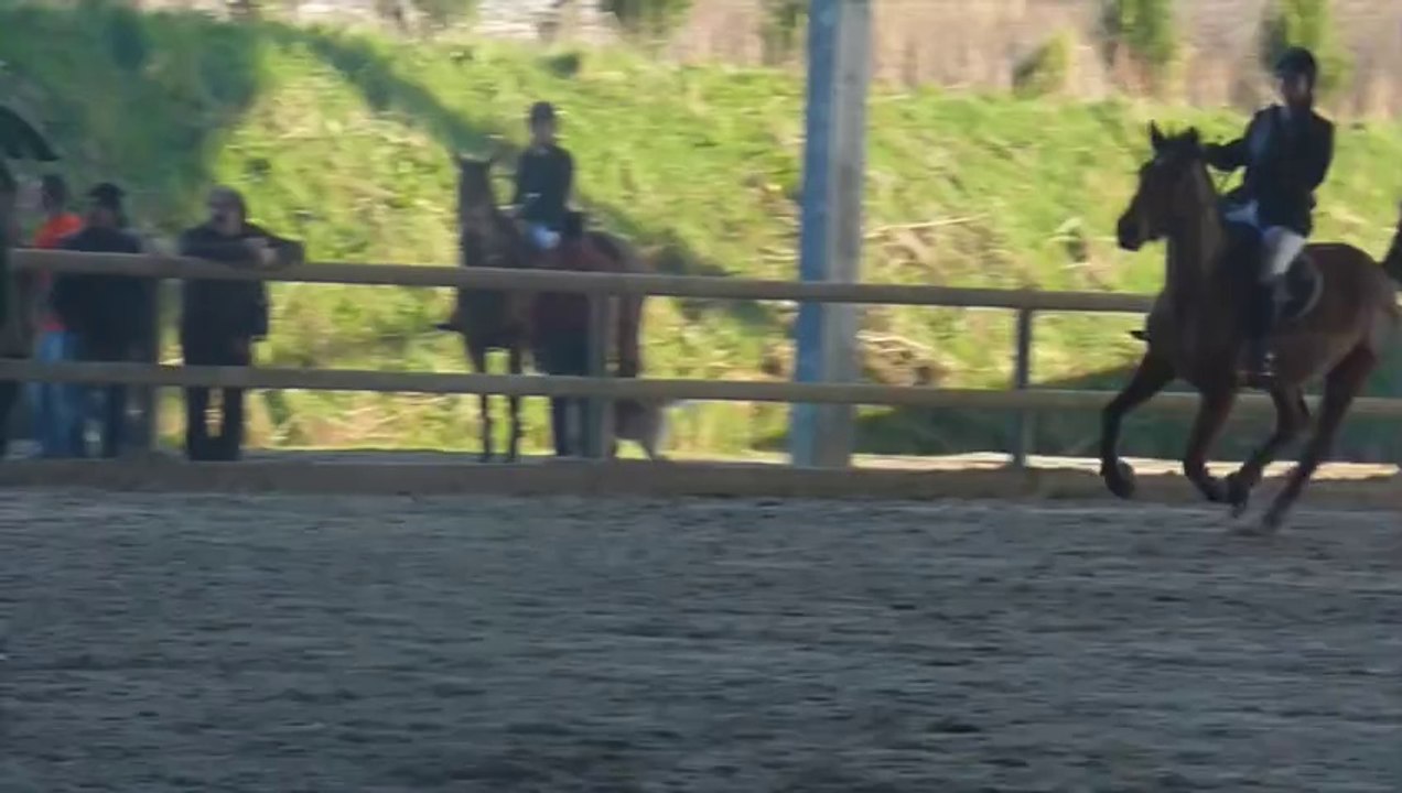 Perlani : Bourbarré 080314