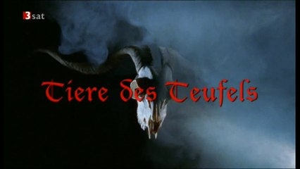 Tiere des Teufels - 2003 - by ARTBLOOD