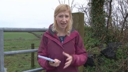 ITV West Country_TB farmer calls for badger cull to be extended 7Mar14