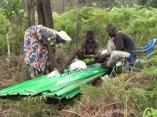Pose toiture et ceremonie dite OFELA
