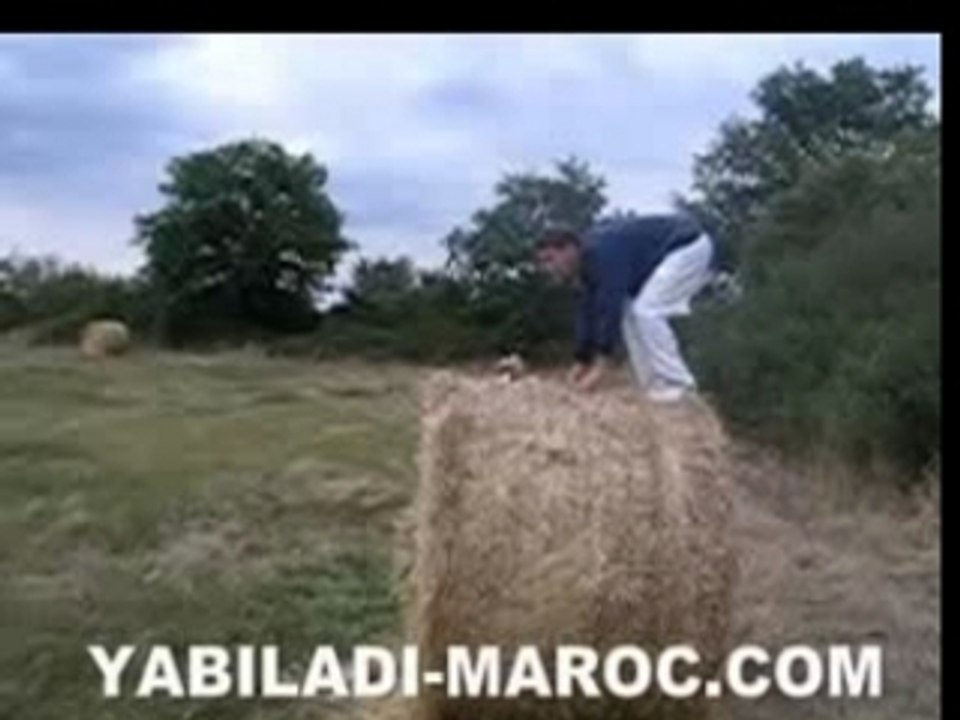 stupid