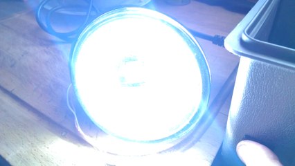 Essai montage ring feux de jour anti brouillard de Clio 2