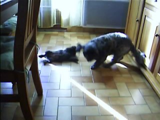 Chanel et Jaudy dans la maison