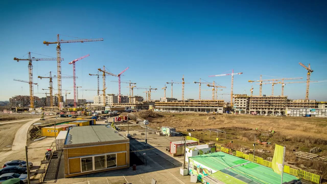 Des grues dansent en musique en Autriche