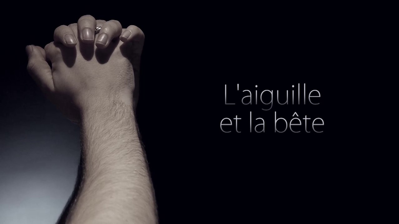 L'aiguille et la bête