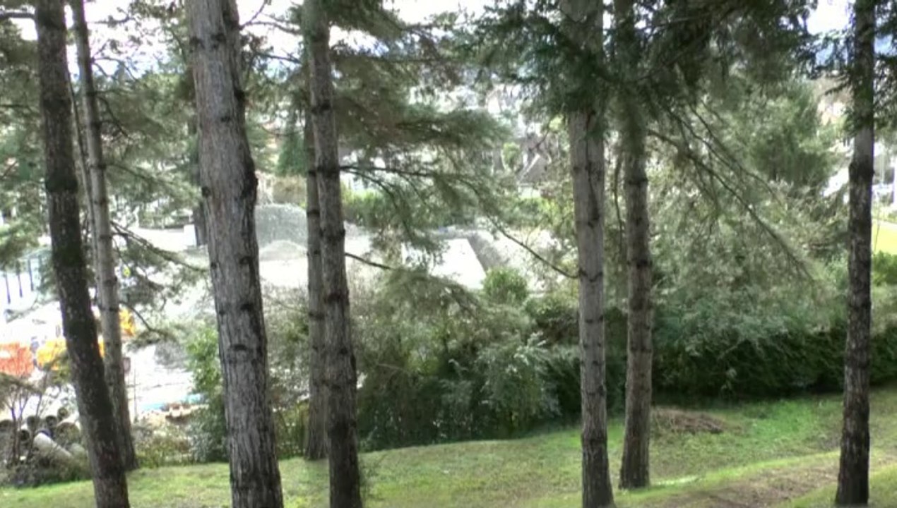 LES  W-D.D. MICHOU SUNDAY NEWS - 23-24-26 JANVIER 2014 - STADE NAUTIQUE TRAVAUX ET FUTURE SEMAINE GRANDS TRAVAUX ANNONCEE.