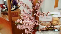 Feira de Amendoeiras em Flor en Freixo de Espasa à Cinta 2014