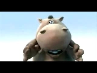 HIPO Wants to save the whales!