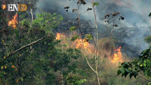 Bomberos del Distrito Capital combatieron incendio en el Ávila