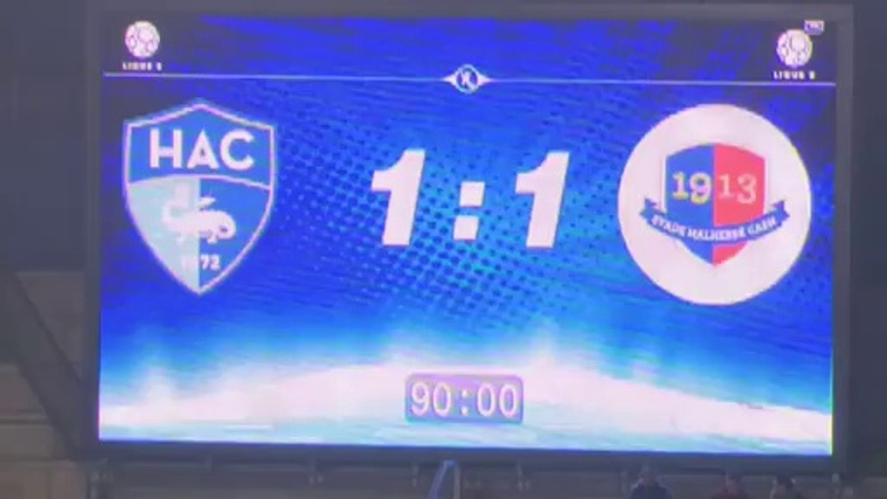 Havre AC - SM Caen (1-1) - 07/03/14 - (HAC-SMC) -Résumé