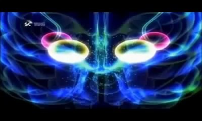 Seks Düşünen Erkeğin Beynindeki Değişim