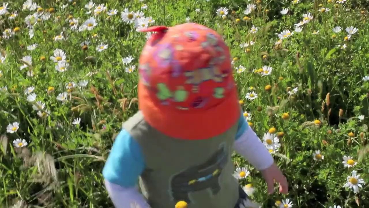 LEMONSTRE