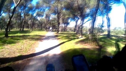 Caminos y senderos Casa de Campo