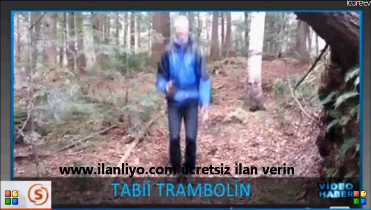 Tabii Trambolin