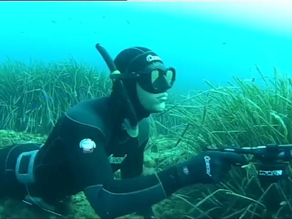 Chasse sous-marine par petits fonds