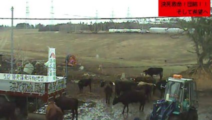 2014-02-28 11-11　牧場１号機　藁ロール