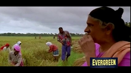 Thitharo ....Kalabhavan Mani-movie-kannezhuthi pottum thottu