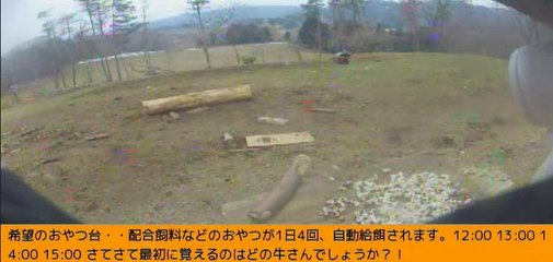 2014-02-28 13-00　牧場三号機　ロク、ナナちゃん