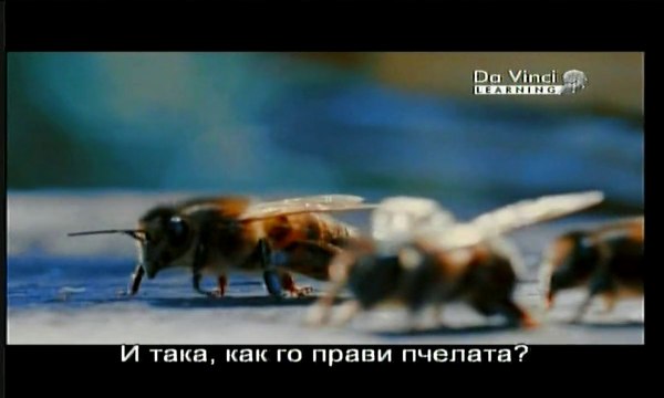 Natural Technologies Природни Технологии