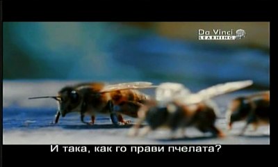 Natural Technologies Природни Технологии