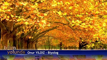 BİLİM YOLUNDA - BÖLÜM 1 ( HAYVANAT BAHÇESİ)