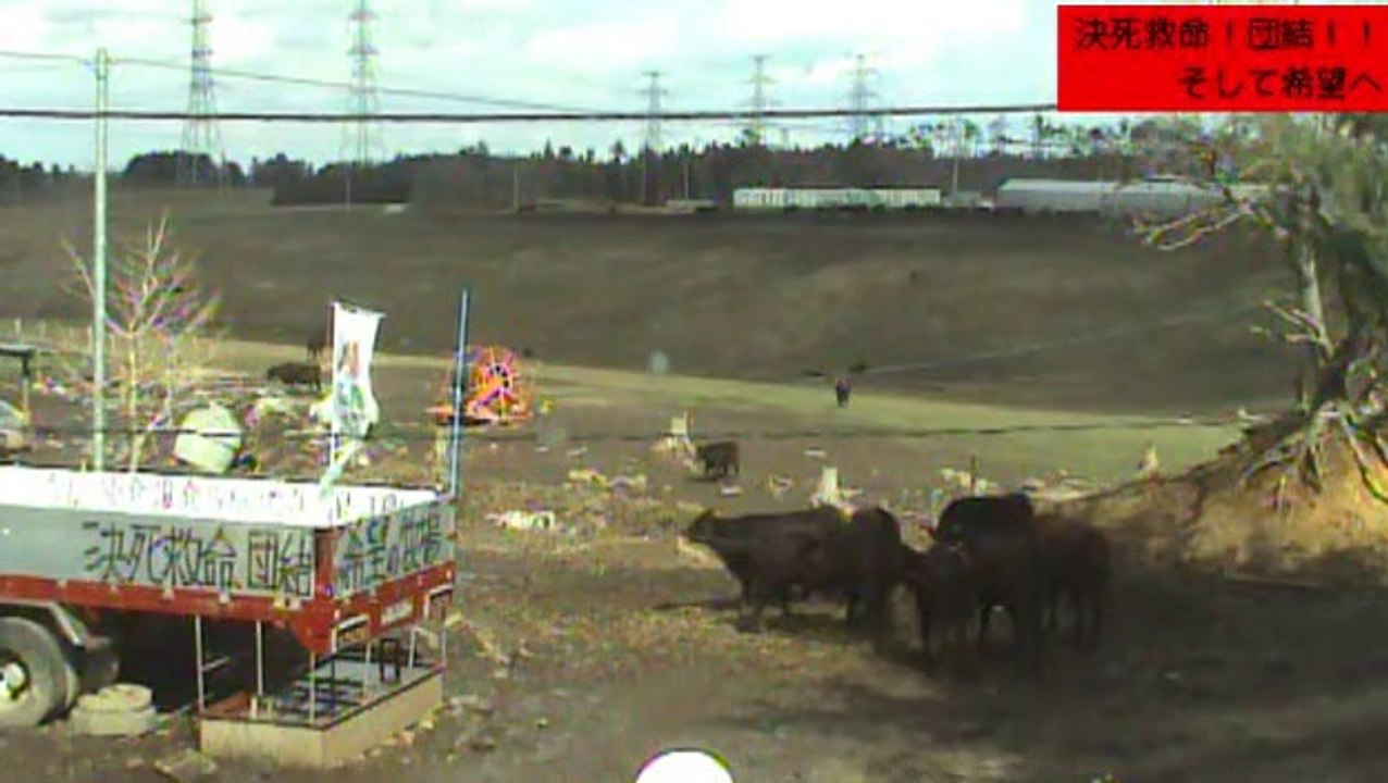 2014-03-06 11-07　牧場1号機　食い負けする子　白いカッパの伊東先生