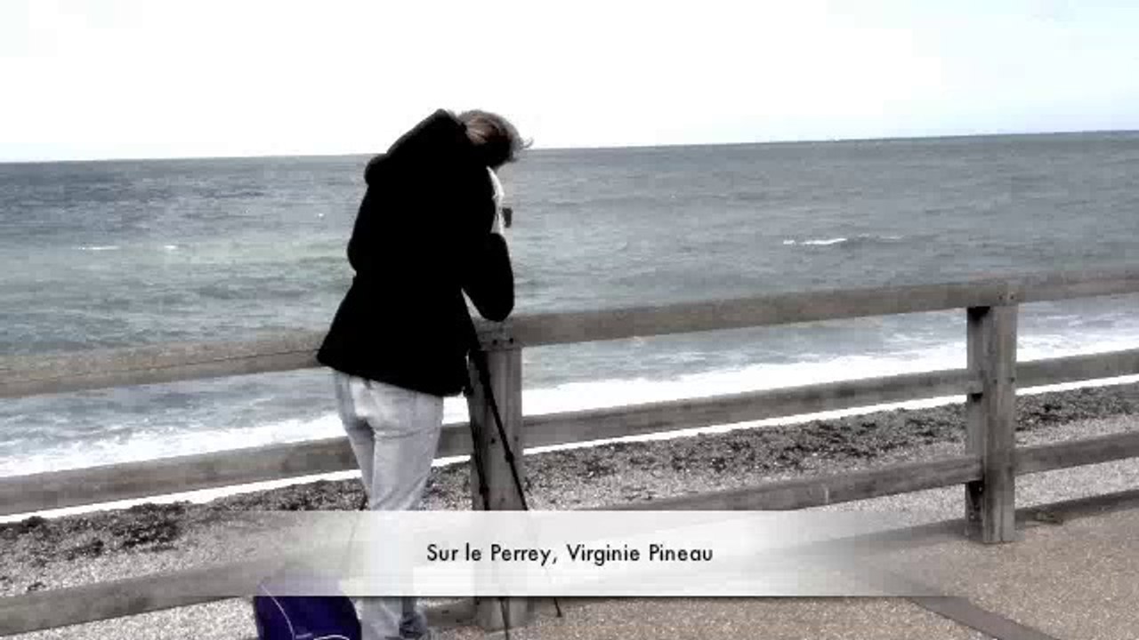 stenopamy_2012_fb
