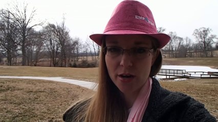 Online Home Based Business Ideas Reflection