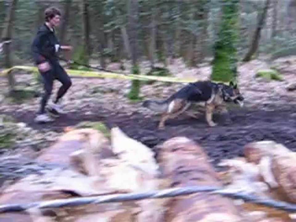 stephanie et foscari au challenge de canicrossbreizh avec une tres belle figure accrobatique