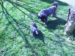 suite jeux à 11h ce matin