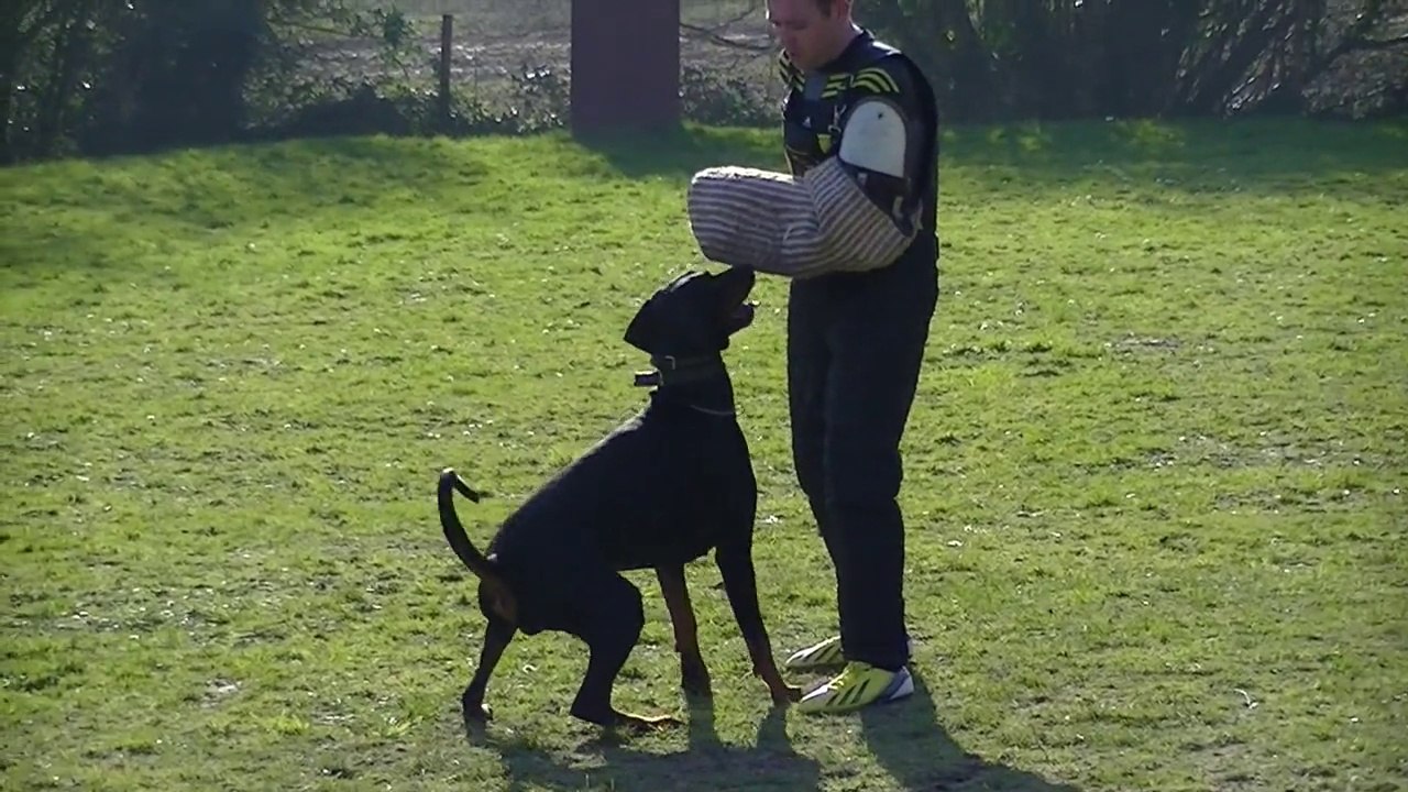Hertog 070314