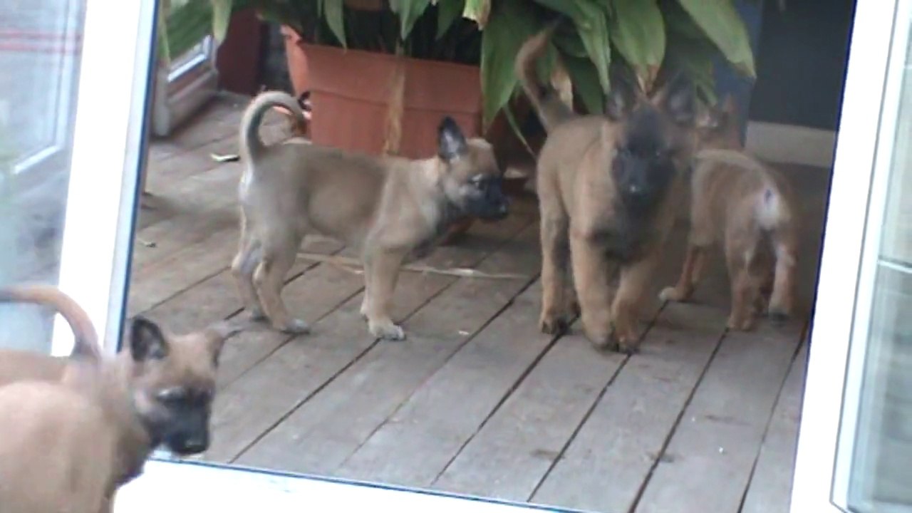 Be Aware G's @ Monsters I