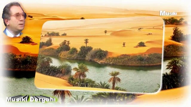 Alâeddin Yavaşça ♫ Sevgi deli gönülden gönüle bir akıştır.HD