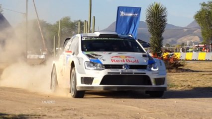 WRC, Mexique - Ogier à la fête