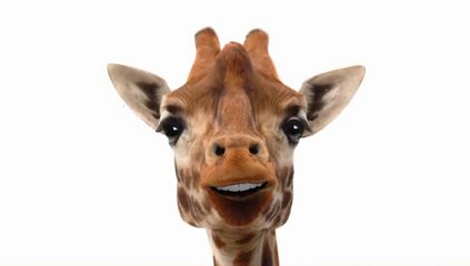 Belle belle étoile du soir